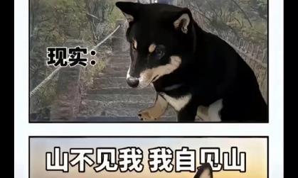 爬山记：攀登人生巅峰-第3张图片-学作网
