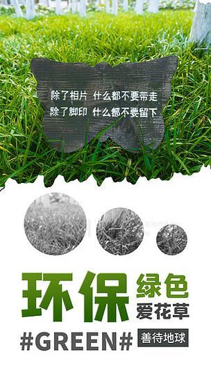 保护环境，爱护花草（小镇的花草守护者）-第3张图片-学作网