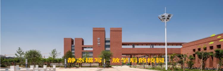 校园的奇妙冒险：发现学校里的秘密-第3张图片-学作网
