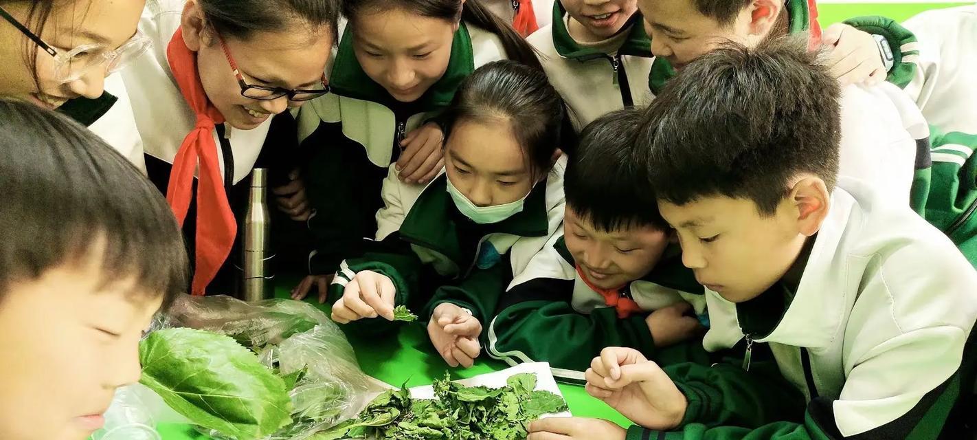 雨中的挑战（雨中的挑战）-第3张图片-学作网
