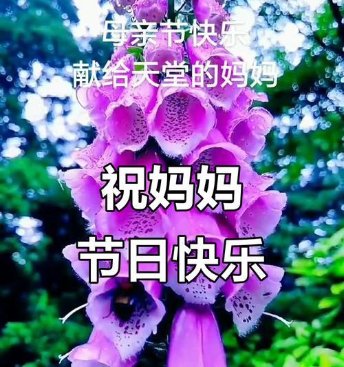 妈妈的温暖陪伴（母亲节快乐）-第3张图片-学作网