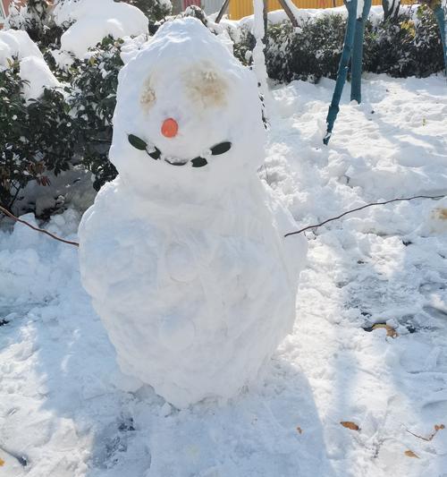 冬日里的温暖（白雪飘扬，真情相伴）-第2张图片-学作网
