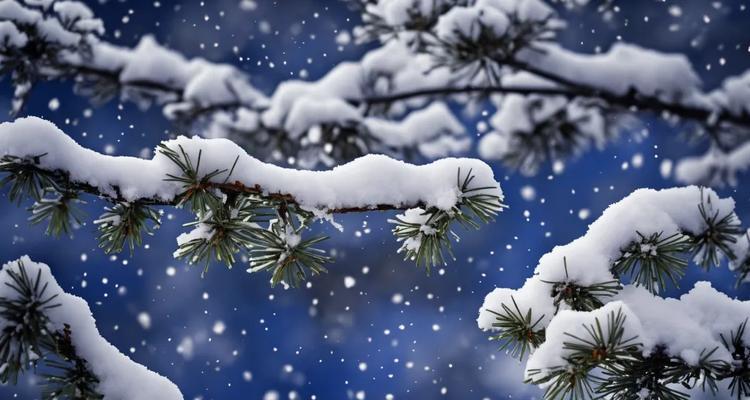 冬日里的温暖（白雪飘扬，真情相伴）-第3张图片-学作网
