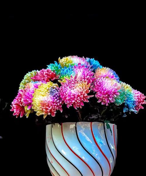 一朵菊花，两颗心（一朵菊花，两颗心）-第2张图片-学作网
