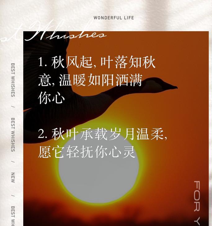 他们给予我温暖（寻找心灵的归宿）-第3张图片-学作网