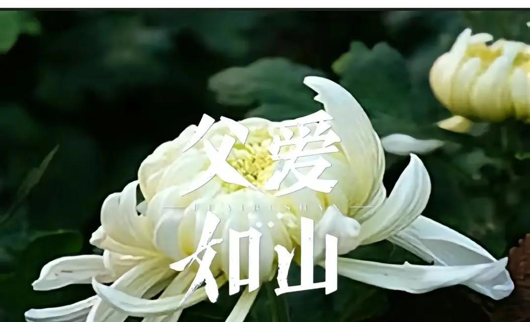 怀念永恒——一个男孩的成长故事（时间流转，记忆不灭，他怀念的是那些曾经）-第3张图片-学作网