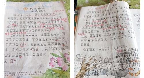 生活的磨练（探寻智者的智慧）-第1张图片-学作网