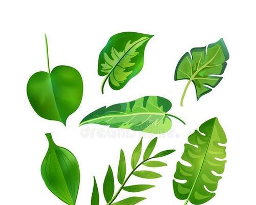 绿色的季节-第3张图片-学作网