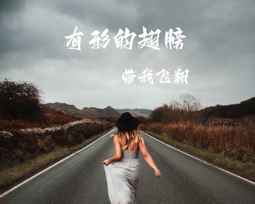 我梦想的翅膀-第1张图片-学作网
