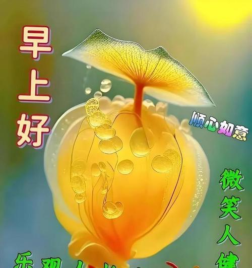 美好的祝福：祝福之花-第2张图片-学作网