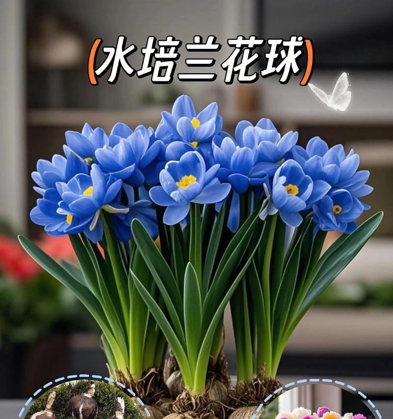 花开有时，人生赏心悦目（一位花艺师的故事）-第3张图片-学作网