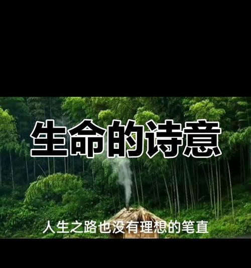 永远不言放弃（一位战士的奋斗与坚守）-第2张图片-学作网