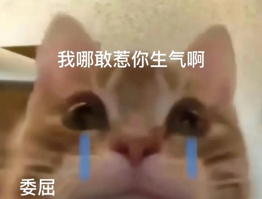 一个生气的人的反思和成长之路（一个生气的人的反思和成长之路）-第1张图片-学作网