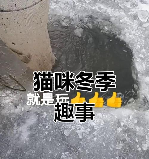 银装素裹下的冬天趣事（雪中狂奔，暖心慈善，冰上嬉戏）-第2张图片-学作网