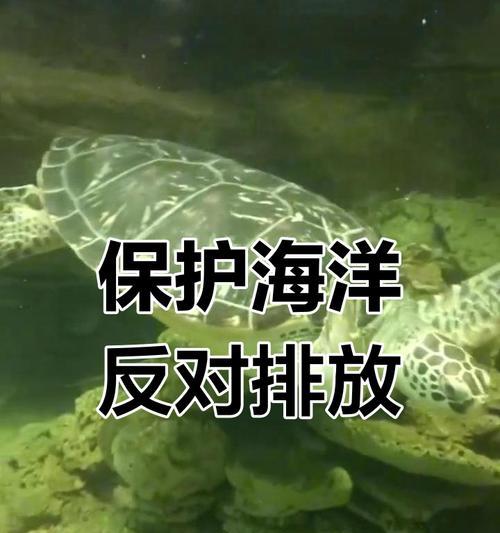 海洋护卫：小渔民的使命-第3张图片-学作网