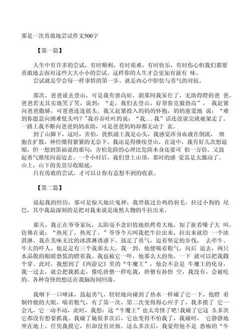 尝试的力量（重新发现自我）-第2张图片-学作网