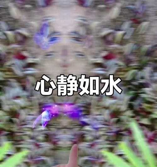 宁静的喜悦（寻找内心的安定与愉悦）-第3张图片-学作网